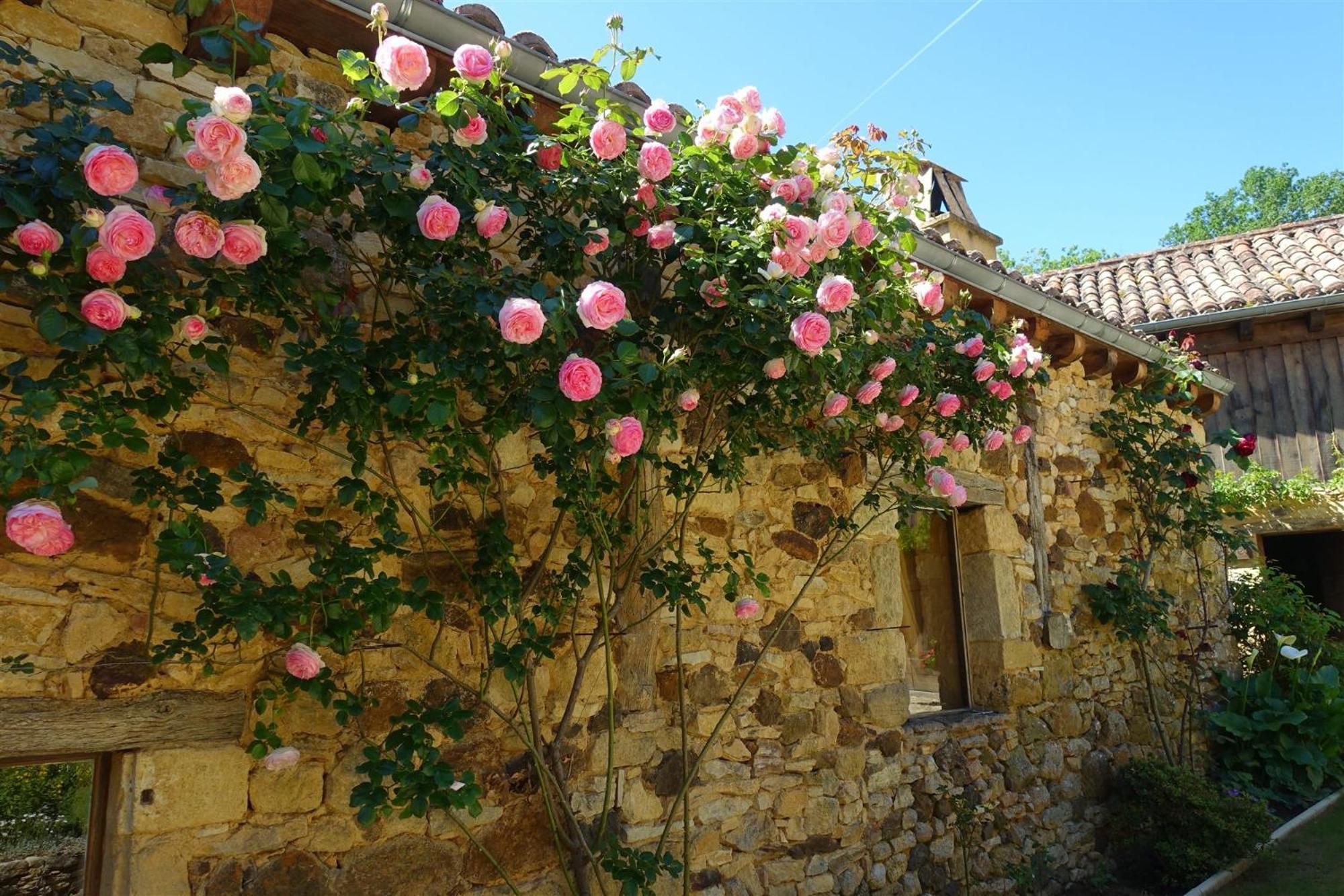 Domaine De Cournet Haut, A 17Th Century Property Set On A Calm, Idyllic Domain With Pool, Tennis, Bikes And More Les Vauries Esterno foto