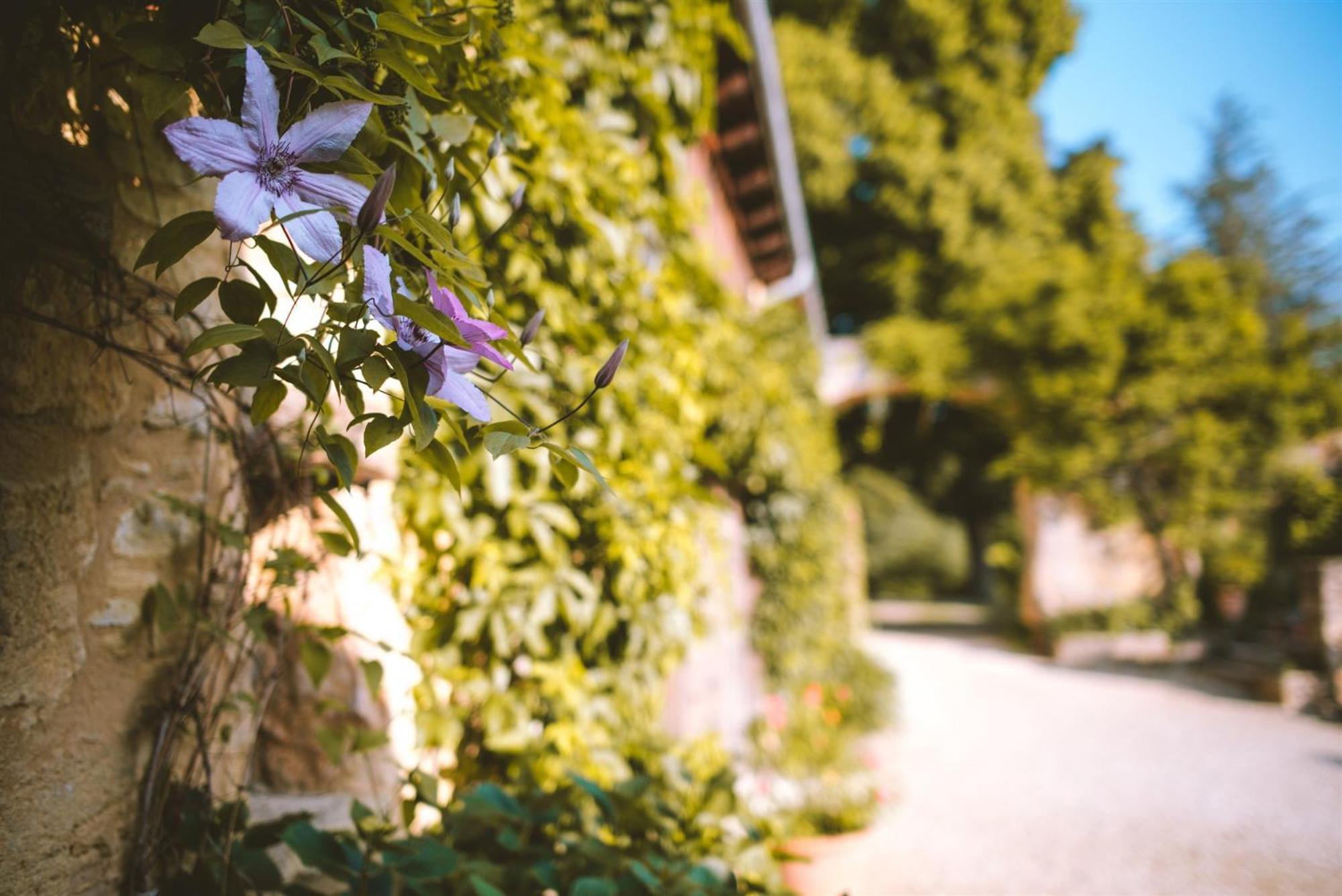 Domaine De Cournet Haut, A 17Th Century Property Set On A Calm, Idyllic Domain With Pool, Tennis, Bikes And More Les Vauries Esterno foto