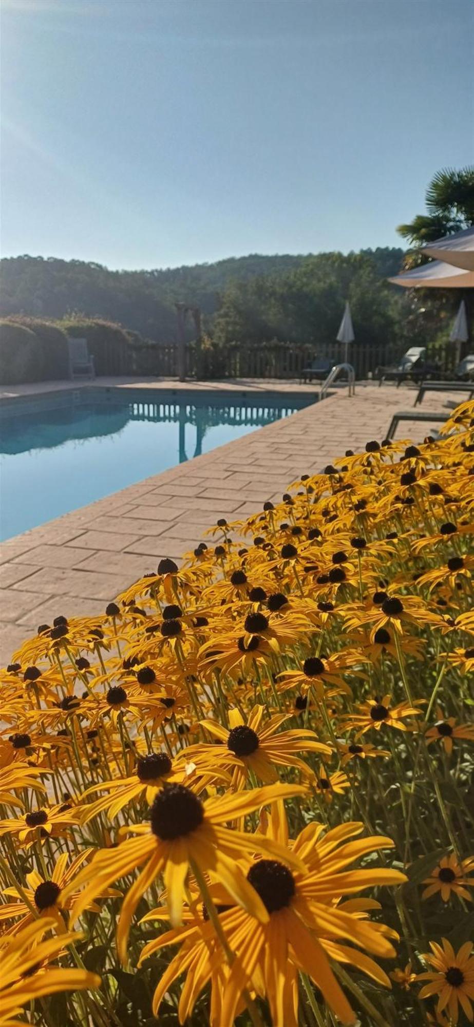 Domaine De Cournet Haut, A 17Th Century Property Set On A Calm, Idyllic Domain With Pool, Tennis, Bikes And More Les Vauries Esterno foto